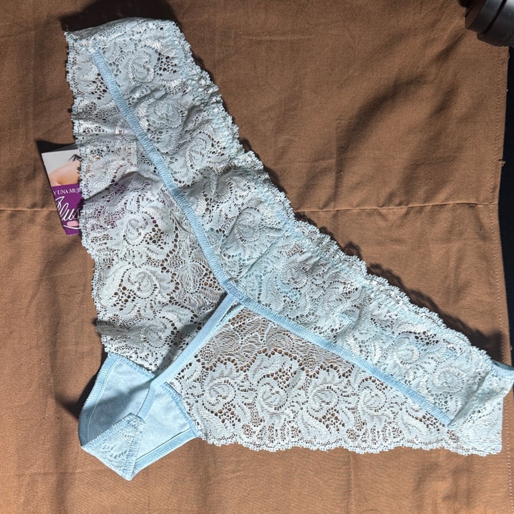 Delicate Lace Sky Blue Panties